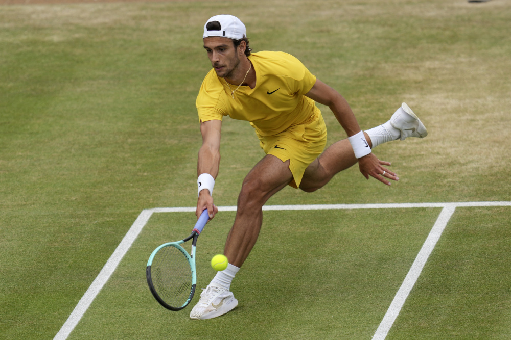 尝试围绕梅 尝试围绕梅