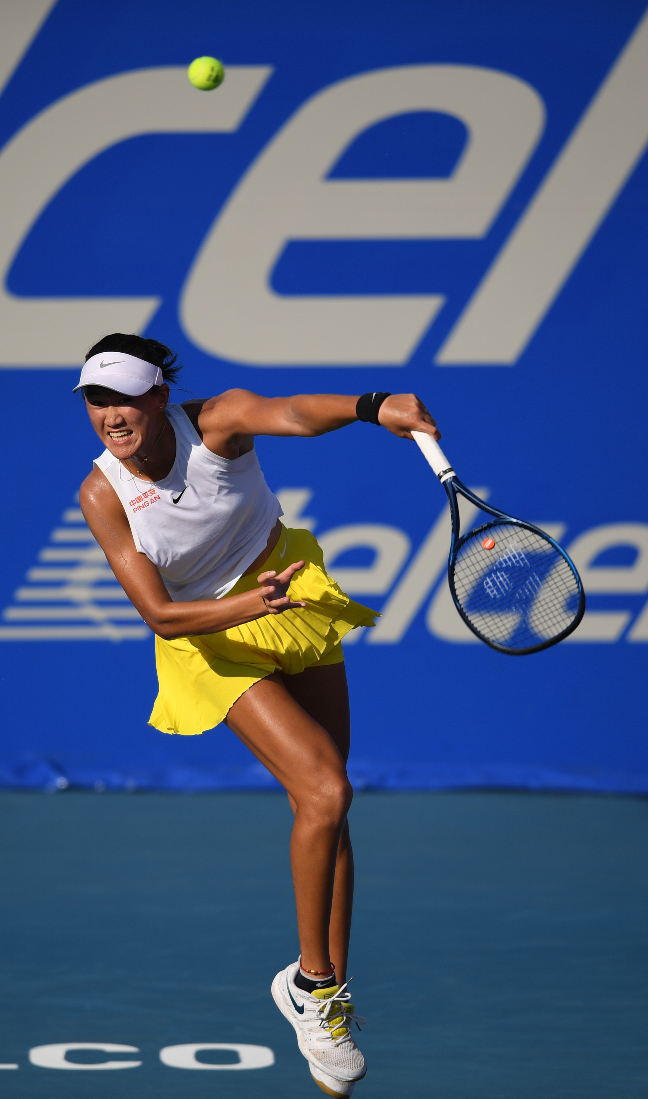 的世界里 的世界里